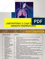 Diapos Macro Lab 2