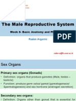 Sistem Reproduksi Pria Ikr