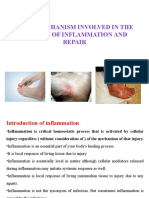 Unit 1 Basic Mechanism Involved in The Process of Inflammation