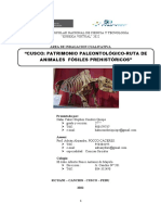 Proyecto Paleontologia-2022