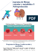 Rotafolio Programa RCV - PROPUESTO