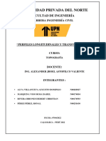 Perfiles Longitudinales y Transversales