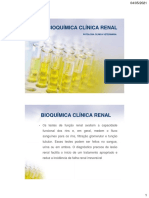 Bioquimica Clinica Renal