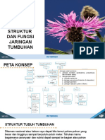 IPA Kelas 8 BAB 2 Struktur Tumbuhan