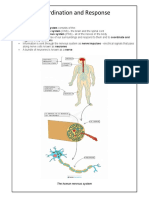 Coordination, Response and Homeostasis