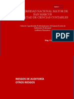 Unmsm Titulacion 2022 Riesgos de Auditoria - Otros Riesgos