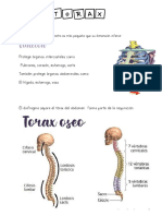 Apuntes de Anfi