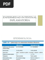 Enfermedad Intestinal Inflamatoria