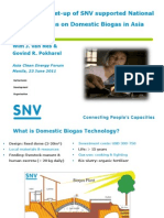 Wim Van Nes - SNV Supported National Programmes On Domestic Biogas in Asia