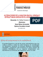 Alteraciones de La Mucosa Bucal, Lengua y Estructuras Anexas en El Adulto Mayor Ii