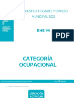 7.3 - Categoría Ocupacional