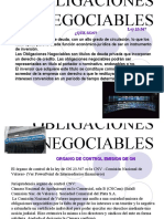 13 ObligacionesNegociables