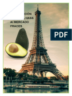 Exportacion Palta Hass - Paris (Francia) (1) &&&&&&