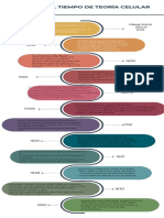 Infografía Línea de Tiempo Cronológica Multicolor