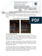 Aplicación de Técnicas en El Juego de Voleibol