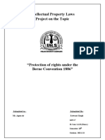 Intellectual Property Laws Project On The Topic: Submitted To