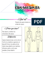 Posicion Anatomica