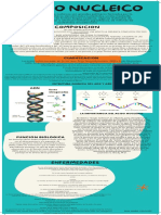 Acido Nucleico