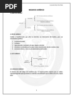 Material Primer Parcial Derecho Civil IV