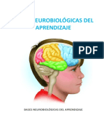 Bases Neurologicas Del Aprendizaje