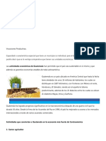 Vocación Productiva y Económica