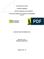 Práctica 1 - Energía Específica 2022-10