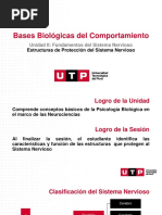 S04.s1 - Estructura de Protección Del Sistema Nervioso