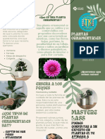 Flyer Folleto Triptico Plantas Vivero Divertido Moderno Orgánico Verde