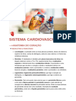 Sistema Cardiovascular