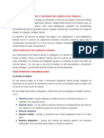 4 Denominacion y Contenido Del Derecho Del Trabajo