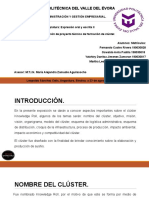 ED1.Exposición de Proyecto Técnico de Formación de Clúster