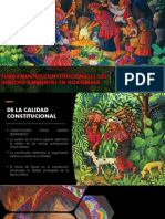 Fundamentos Constitucionales Del Derecho Ambiental en Guatemala 2022-1