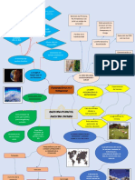 Diego Murcia - Mapa Mental Nuestro Planeta Nuestro Futuro