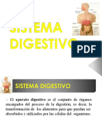 Sistema Digestivo