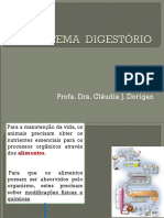 Sistema Digestório - Parte I