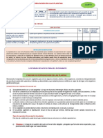 Guia 4° Explica Reproduccion en Las Plantas