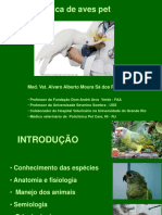 5 Clínica de Aves PET