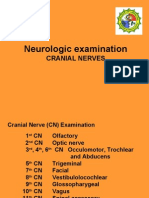 Cranial Nerves