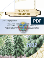 Plan de Trabajo Papaya