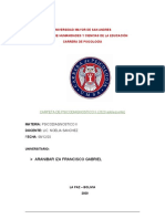 Carpeta Psicodiagnostico 2