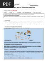 Laboratorio III