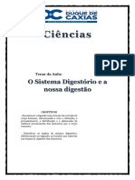 Ciências O Sistema Digestório e A Nossa Digestão