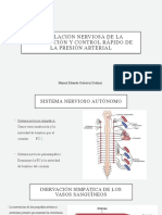 Regulación Nerviosa de La Circulación y Control Rápido