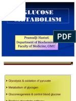 Carbohydrate Metabolism