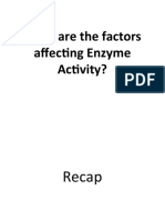 Factors Affecting Enzyme Activity