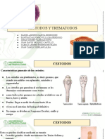 Exposicion Cestodos y Trematodos