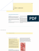 AOSpine Manual Lumbar Anatomy - Compressed