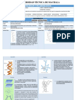 Trabajo Colaborativo Acidos Nucleicos Grupo A