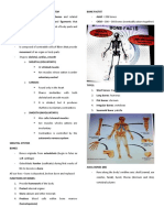 Musculoskeletal System