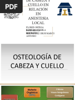 Anatomia de Cabeza y Cuello en Relacion en Anestesia Local